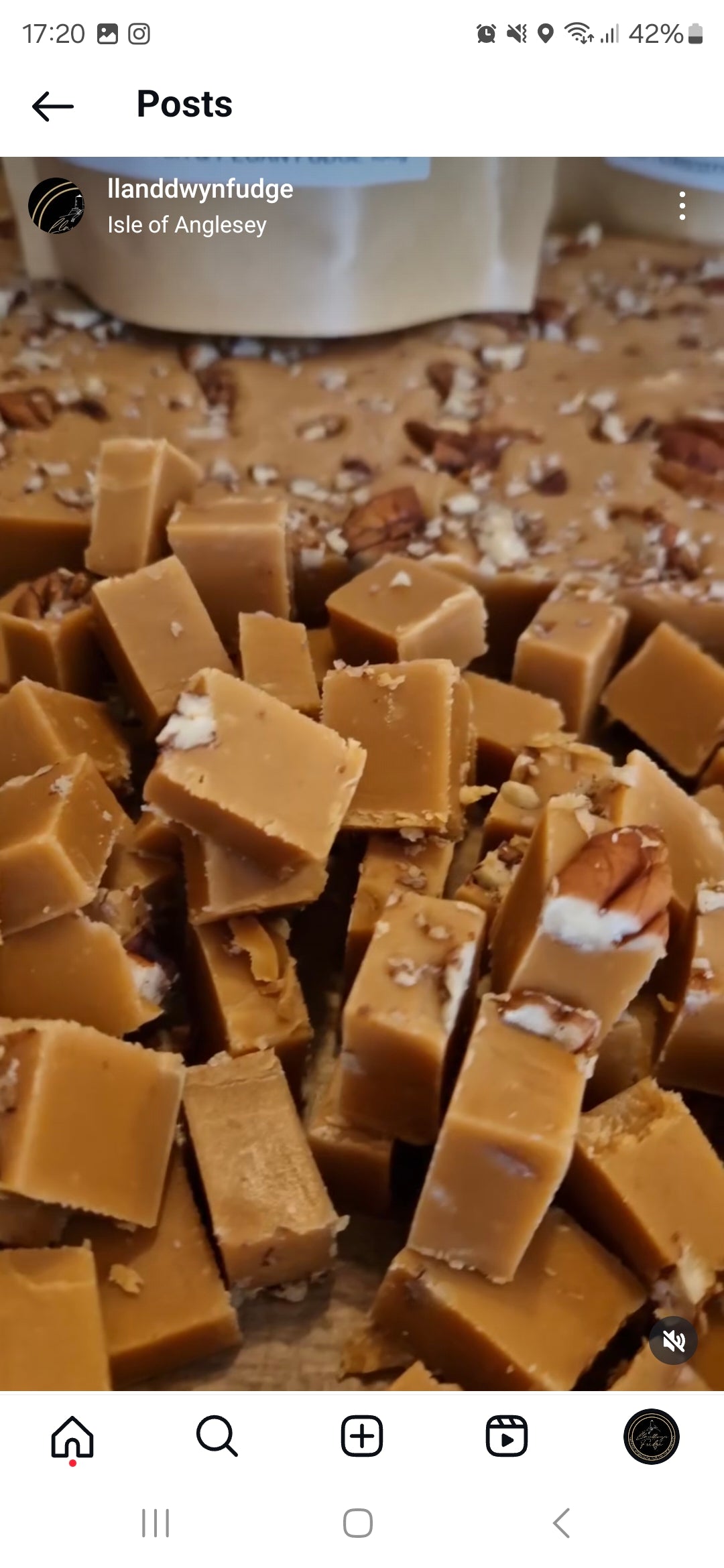 Maple & Pecan Fudge 3 pack (3 x 150g)